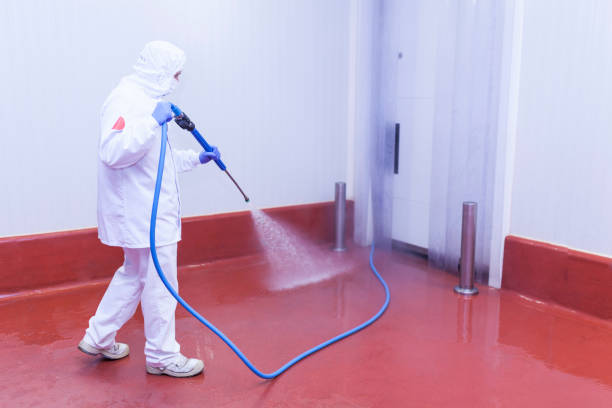 Pre-Holiday Cleaning in Milaca, MN